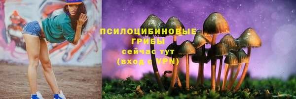 марки nbome Арсеньев