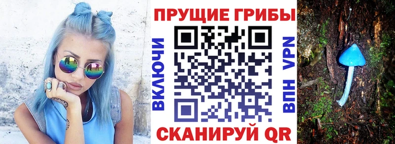 Псилоцибиновые грибы Magic Shrooms  магазин продажи   Сердобск 